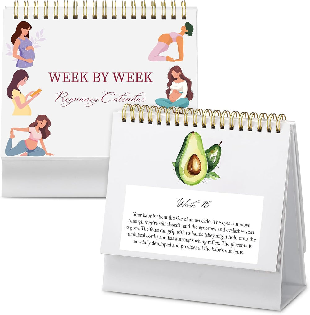 Pregnancy Calendar for First Time Moms Weekly Baby Growth Gift