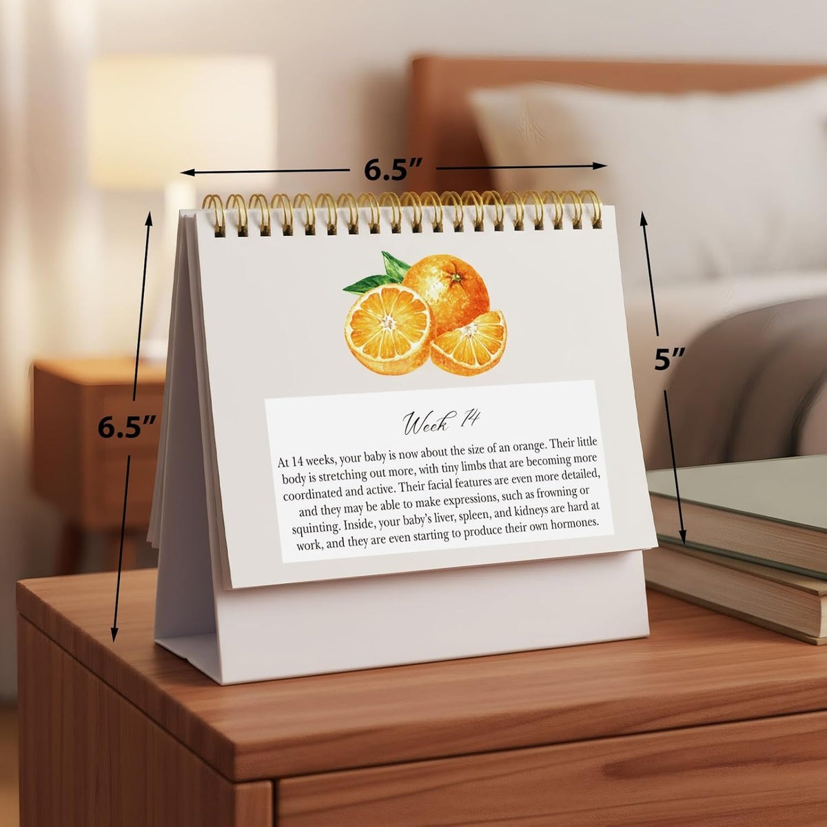 Pregnancy Calendar for First Time Moms Weekly Baby Growth Gift