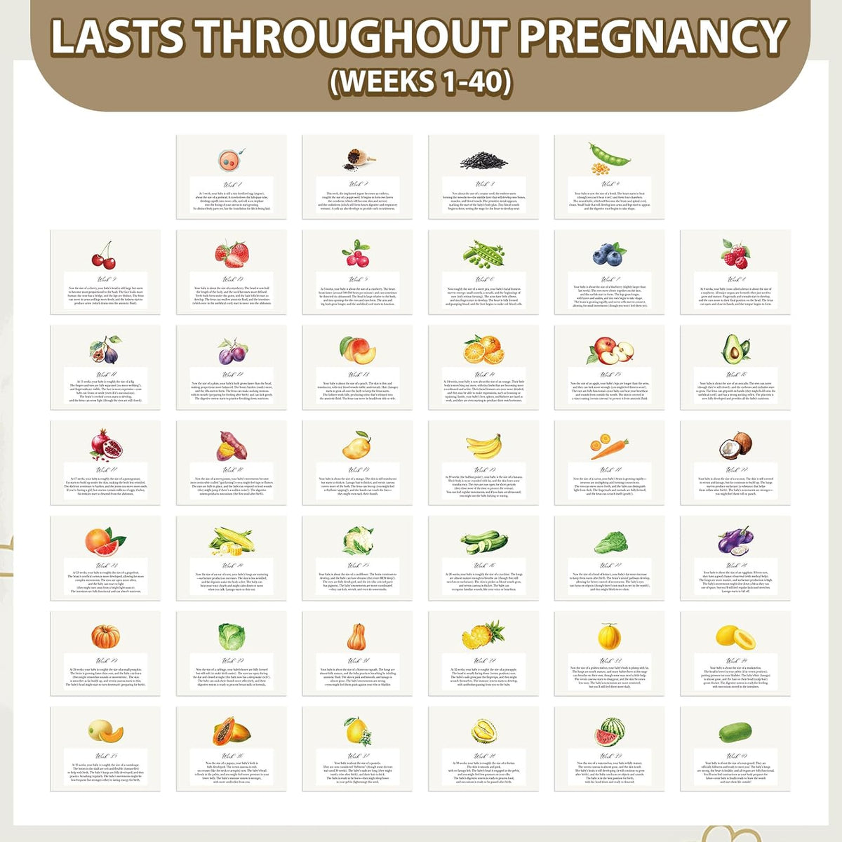 Pregnancy Calendar for First Time Moms Weekly Baby Growth Gift