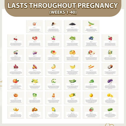 Pregnancy Calendar for First Time Moms Weekly Baby Growth Gift