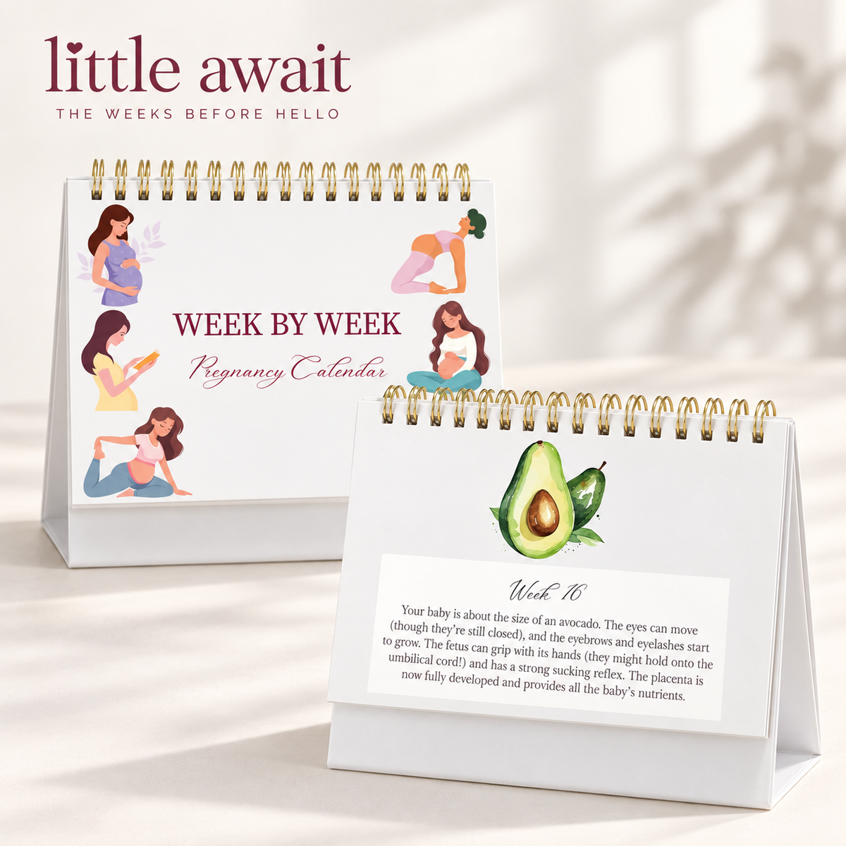 Little Await pregnancy calendar cover and weekly growth page